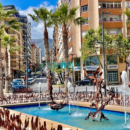 Flamenco, Solo A 40 Metros De La Playa Calpe