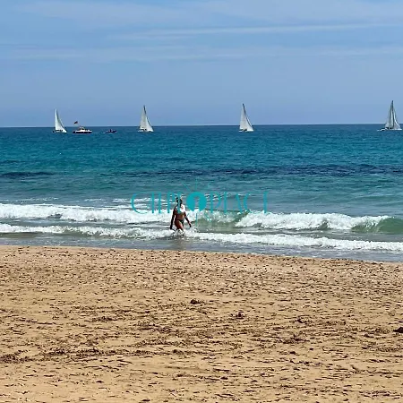 Flamenco, Solo A 40 Metros De La Playa * Calpe