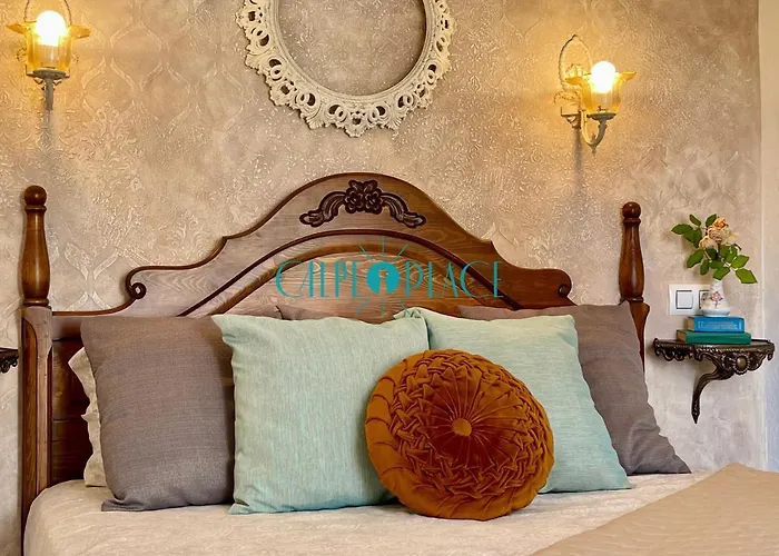 Flamenco, Solo A 40 Metros De La Playa