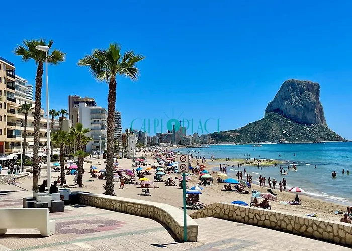 Flamenco, Solo A 40 Metros De La Playa